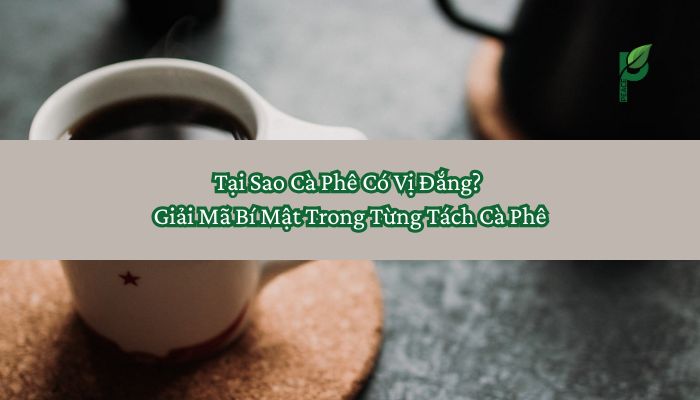 Tại sao cà phê có vị đắng_ Giải mã bí mật trong từng tách cà phê
