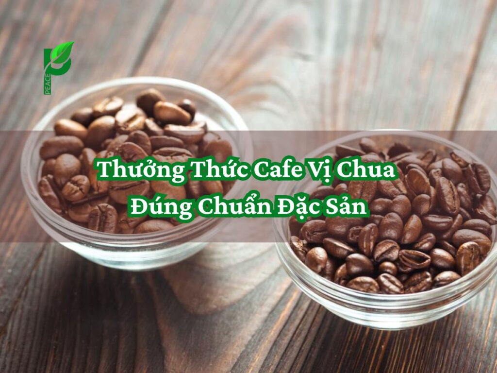 Thưởng Thức Cafe Vị Chua Đúng Chuẩn Đặc Sản