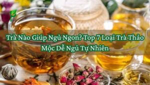 Trà Nào Giúp Ngủ Ngon_ Top 7 Loại Trà Thảo Mộc Dễ Ngủ Tự Nhiên