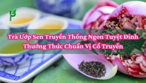 Trà Ướp Sen Truyền Thống