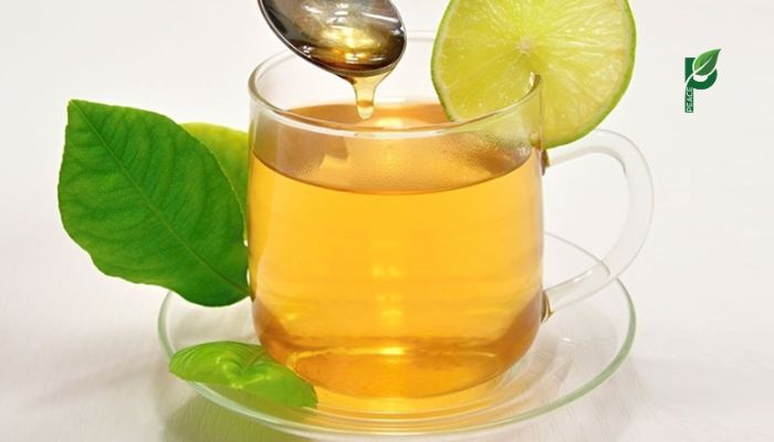 Trà Xanh Chanh Mật Ong