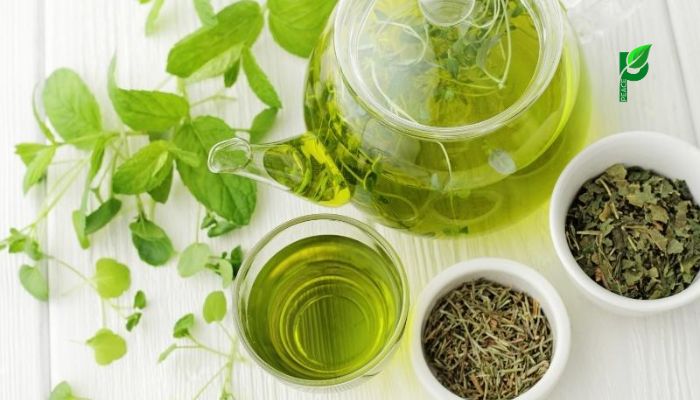 Trà xanh giúp đốt mỡ thừa