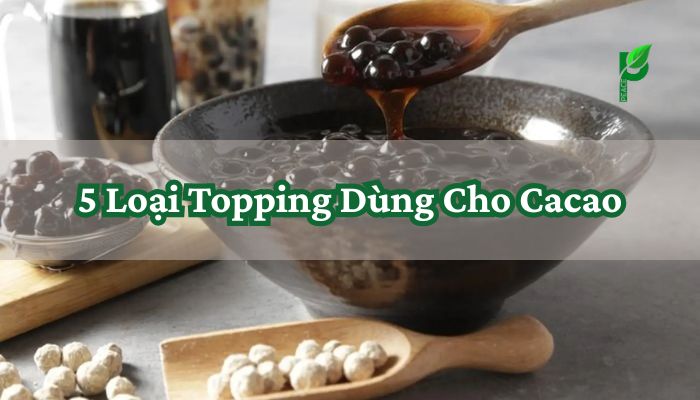 5 Loại Topping Dùng Cho Cacao