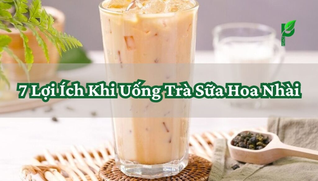 7 Lợi Ích Khi Uống Trà Sữa Hoa Nhài