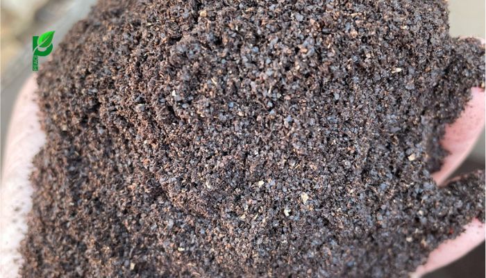 Phơi Khô Bã Cà Phê