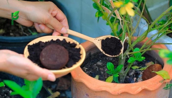 Trộn Vào Đất Trồng