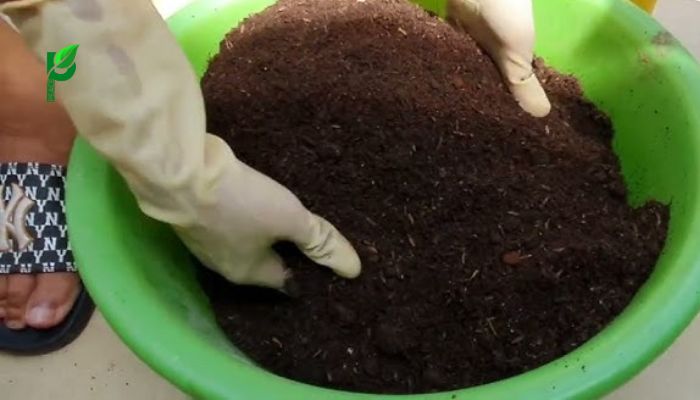 Ủ Phân Ủ Từ Bã Cà Phê