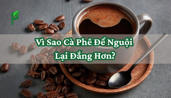 Vì Sao Cà Phê Để Nguội Lại Đắng Hơn