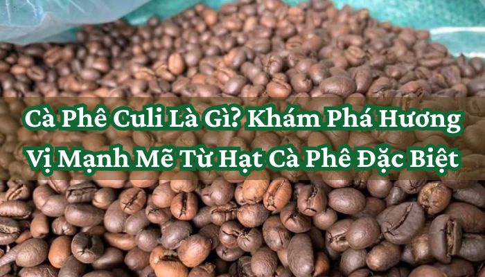Cà Phê Culi Là Gì