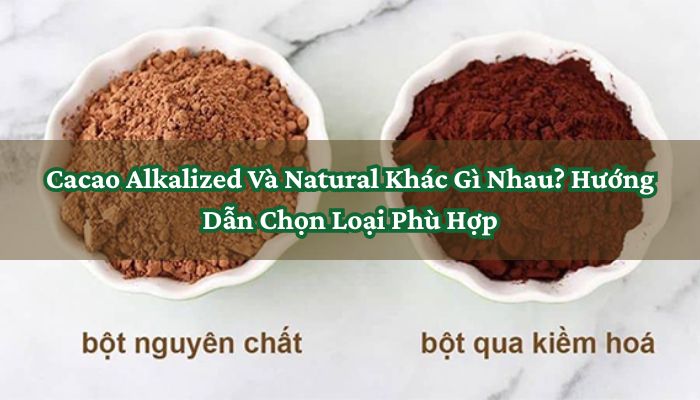 Cacao Alkalized Và Natural Khác Gì Nhau_ Hướng Dẫn Chọn Loại Phù Hợp