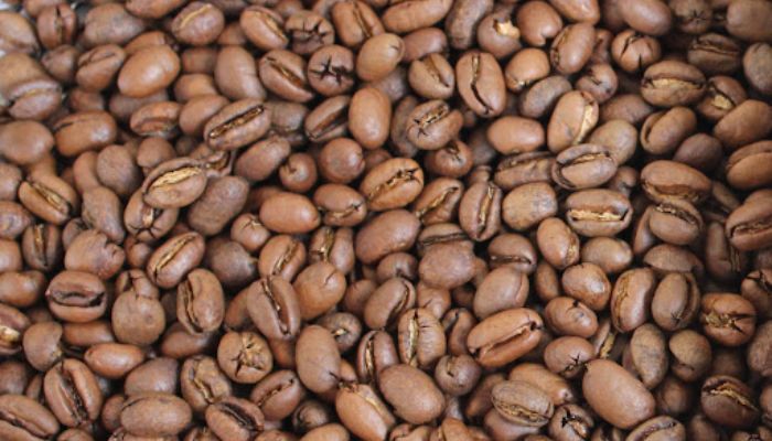 Culi Arabica