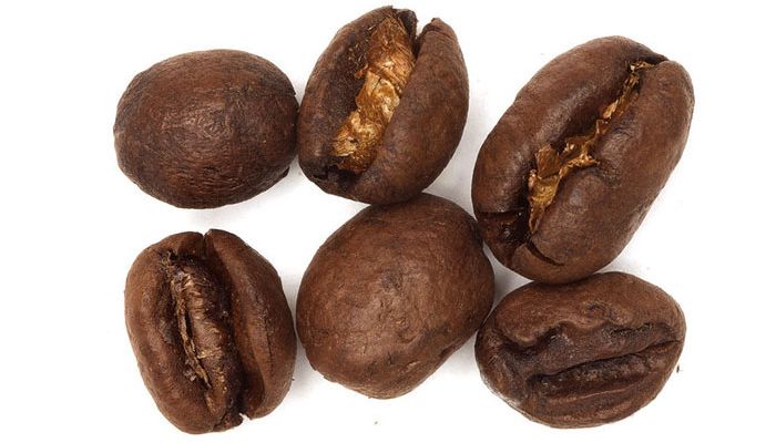 Culi Robusta