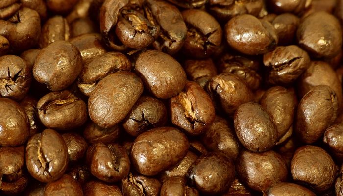 Đặc điểm nhận biết hạt peaberry
