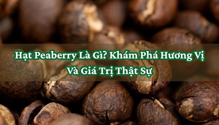 Hạt Peaberry Là Gì_ Khám Phá Hương Vị Và Giá Trị Thật Sự