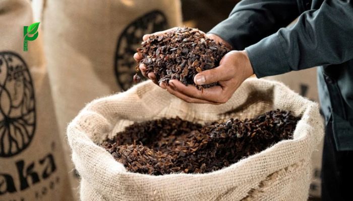 Kinh Nghiệm Chọn Mua Trà Vỏ Cà Phê Chất Lượng