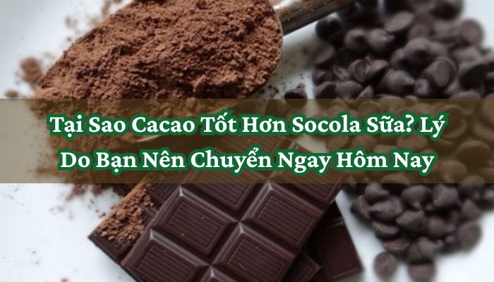 Tại Sao Cacao Tốt Hơn Socola Sữa