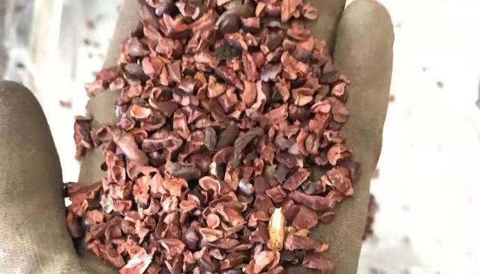 Thành Phần Dinh Dưỡng Của Vỏ Hạt Cacao