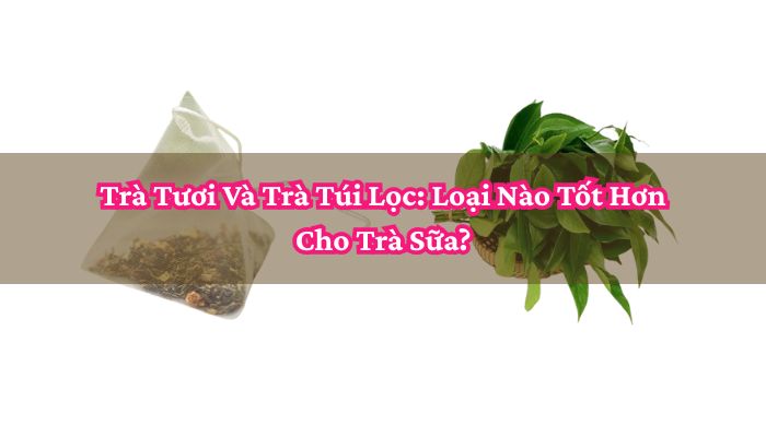 Trà Tươi Và Trà Túi Lọc_ Loại Nào Tốt Hơn Cho Trà Sữa