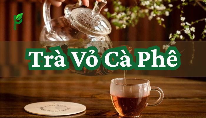 Trà Vỏ Cà Phê Lợi Ích Cách Pha Và Bí Quyết Kinh Doanh Hiệu Quả