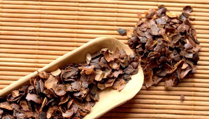 Vỏ Hạt Cacao