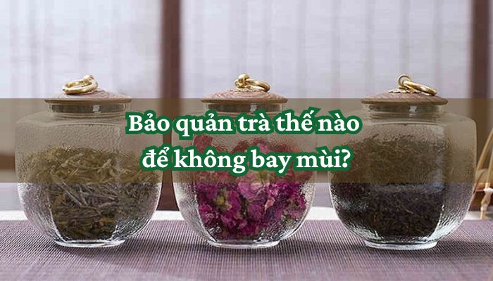 Bảo quản trà thế nào để không bay mùi