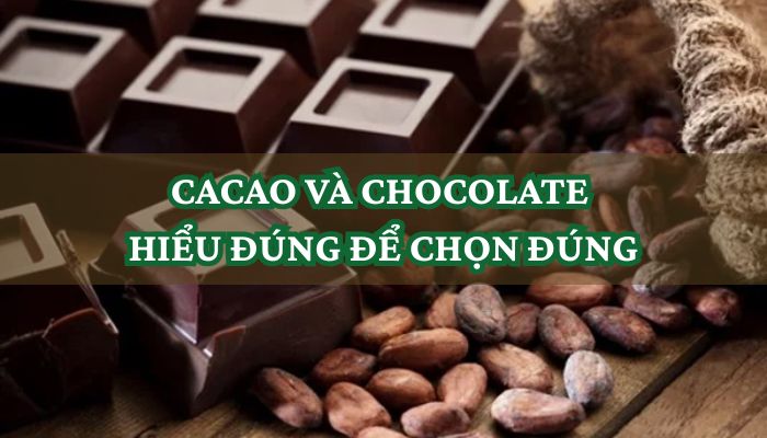 CACAO VÀ CHOCOLATE HIỂU ĐÚNG ĐỂ CHỌN ĐÚNG