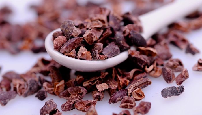 Cacao nibs