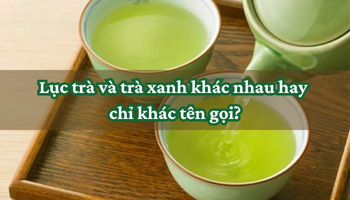 Lục trà và trà xanh khác nhau hay chỉ khác tên gọi