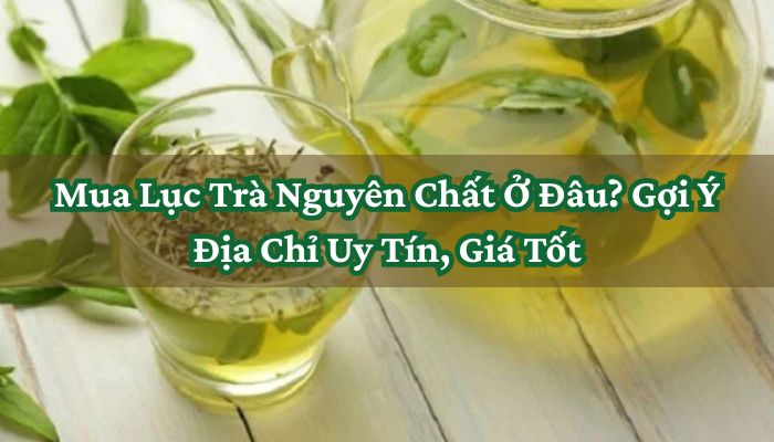 Mua Lục Trà Nguyên Chất Ở Đâu_ Gợi Ý Địa Chỉ Uy Tín, Giá Tốt