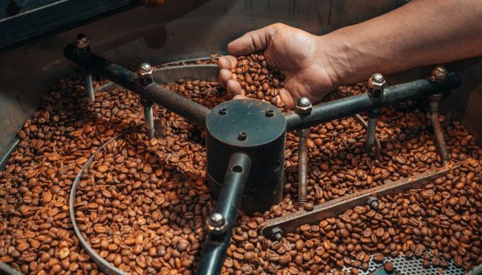 Rang Xay Arabica Và Robusta