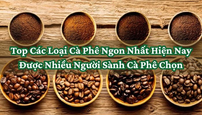Top Các Loại Cà Phê Ngon Nhất Hiện Nay Được Nhiều Người Sành Cà Phê Chọn