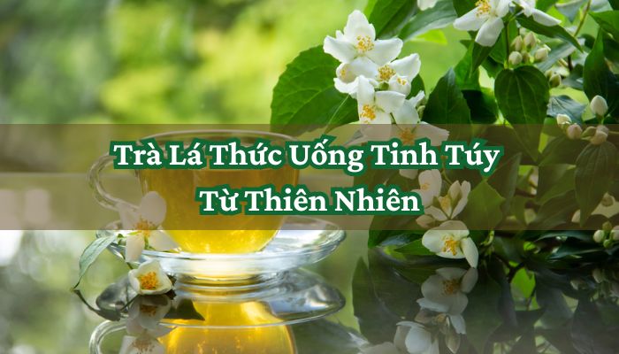 Trà Lá Thức Uống Tinh Túy Từ Thiên Nhiên