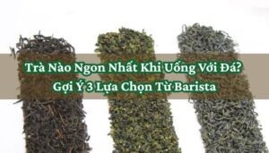 Trà Nào Ngon Nhất Khi Uống Với Đá? Gợi Ý 3 Lựa Chọn Từ Barista
