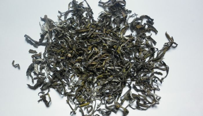 Trà Shan Tuyết cổ thụ