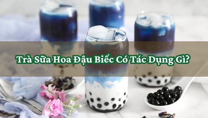 Trà Sữa Hoa Đậu Biếc Có Tác Dụng Gì