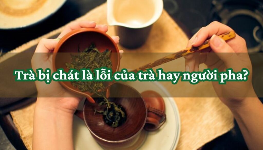 Trà bị chát là lỗi của trà hay người pha