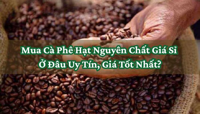 Mua Cà Phê Hạt Nguyên Chất Giá Sỉ Ở Đâu Uy Tín, Giá Tốt Nhất