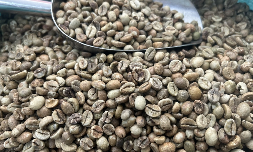 Cà phê rang mộc