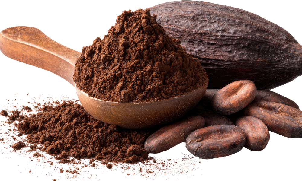 Cacao Nguyên Chất Uống Hằng Ngày Có Tốt Không_ Giải Đáp Chi Tiết