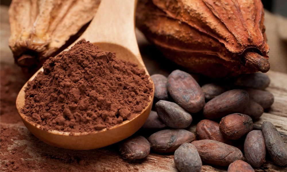 Cacao nguyên chất