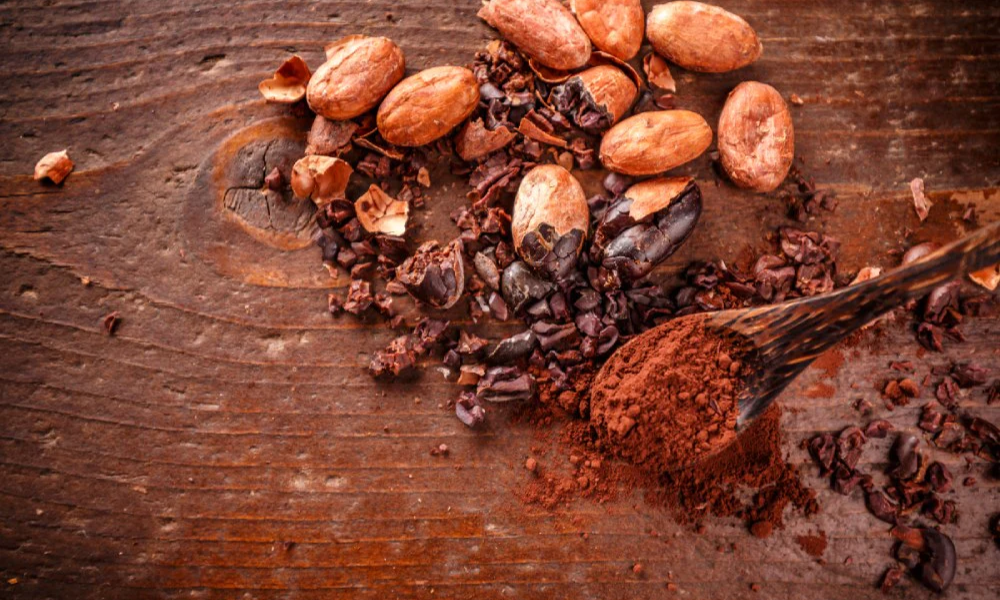 Caffeine và theobromine trong cacao tỉnh táo nhẹ, không gây căng thẳng