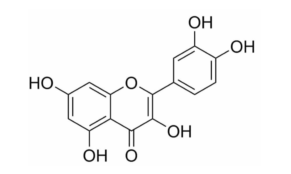 Flavonoid là chất chống oxy hóa mạnh