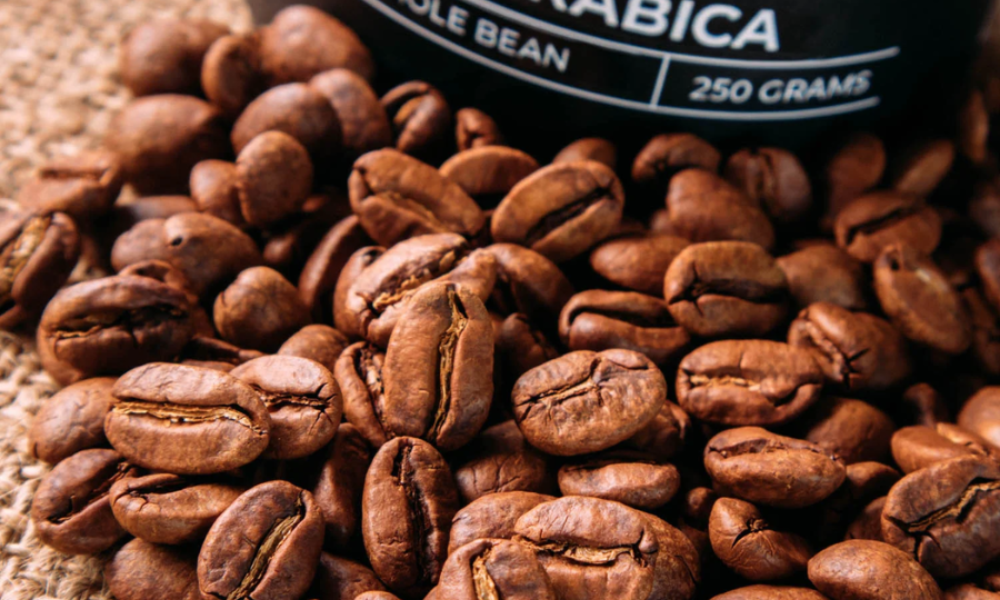 Arabica
