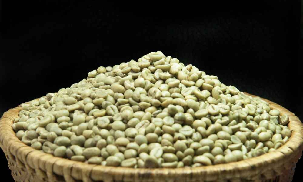 Cà phê nhân xanh robusta