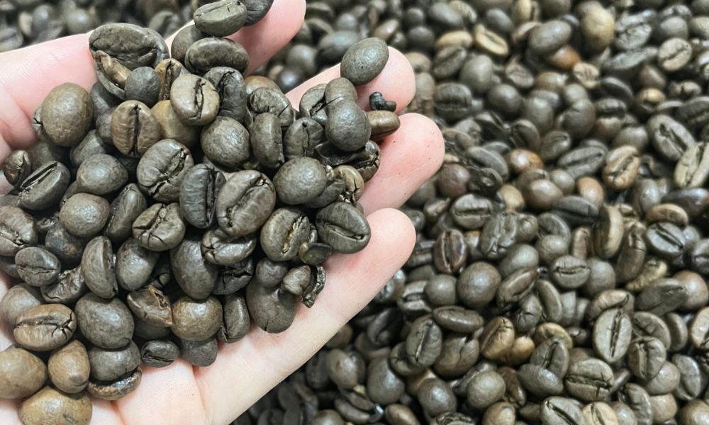Cà phê pha trộn, có phụ gia tạo đắng