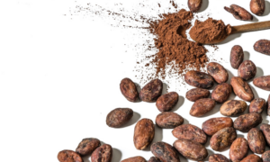 Cacao Có Giúp Giảm Thèm Đồ Ngọt Không_ Cách Uống Để Kiểm Soát Cơn Thèm