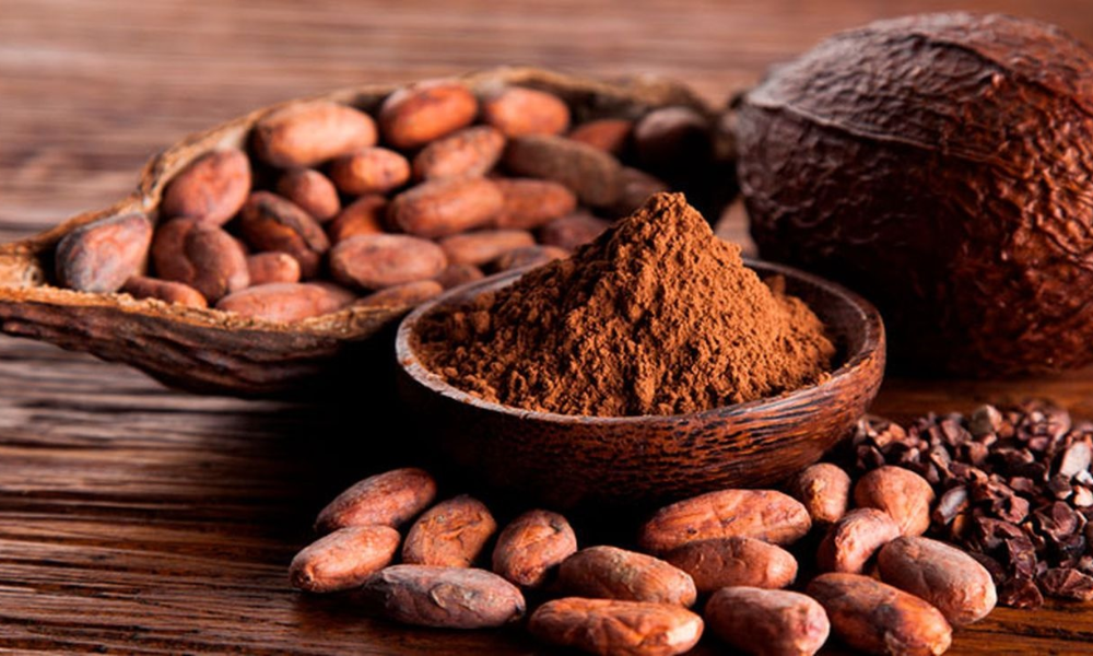 Cacao Nguyên Chất Và Cacao Công Nghiệp_ Khác Nhau Ở Đâu