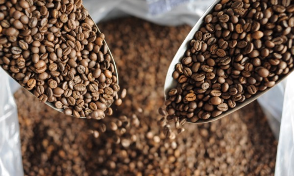 Phối Trộn Arabica Và Robusta Bao Nhiêu Ngon_ 5 Tỷ Lệ Phổ Biến Dễ Uống Nhất